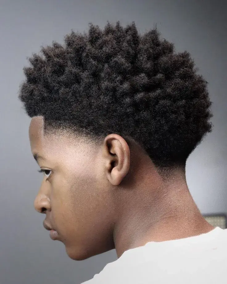 Afro Fade inspiration